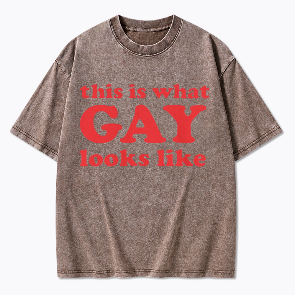 This Is What Gay Looks Like Washed T-Shirt