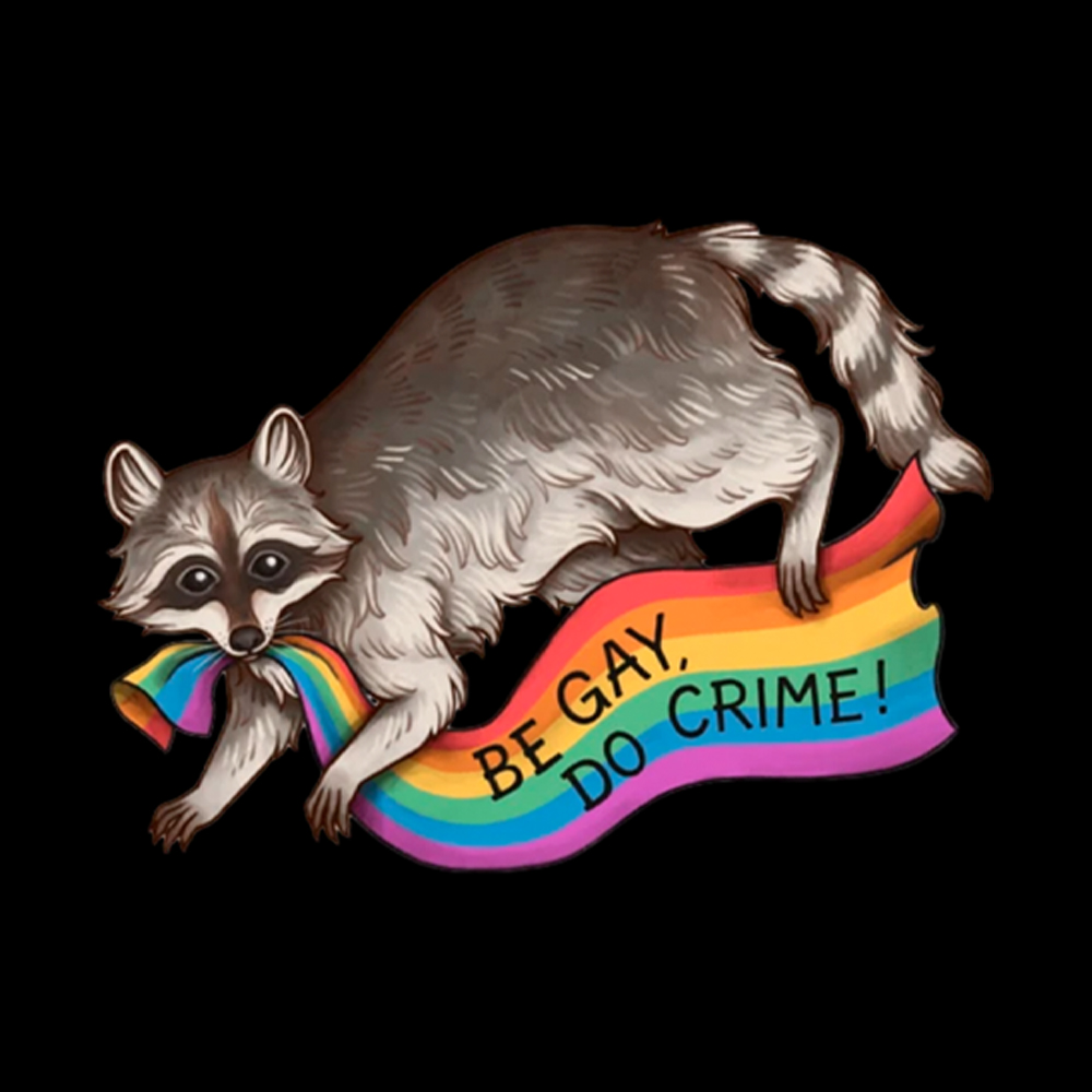Be Gay Do Crime Raccoon Washed T-Shirt