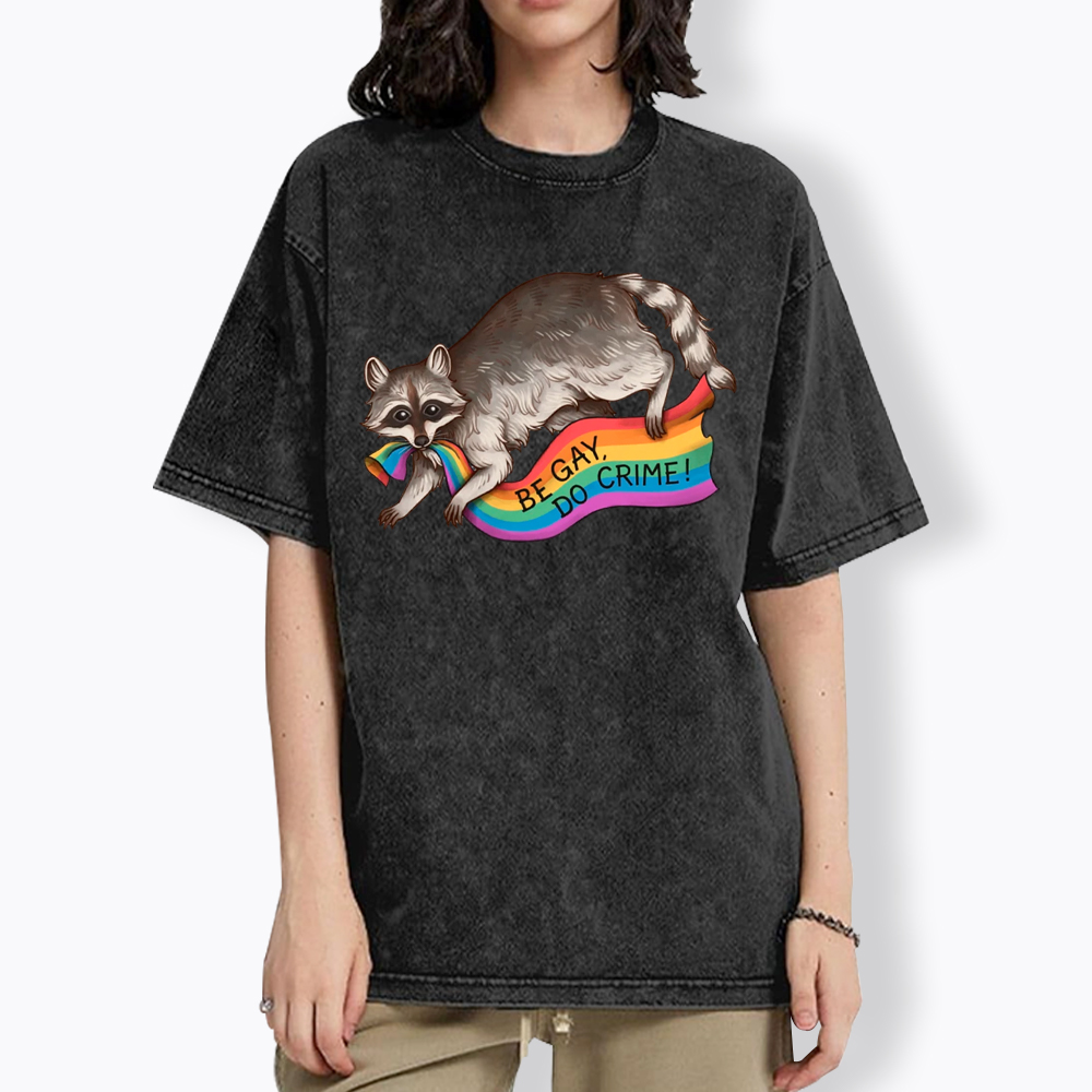 Be Gay Do Crime Raccoon Washed T-Shirt
