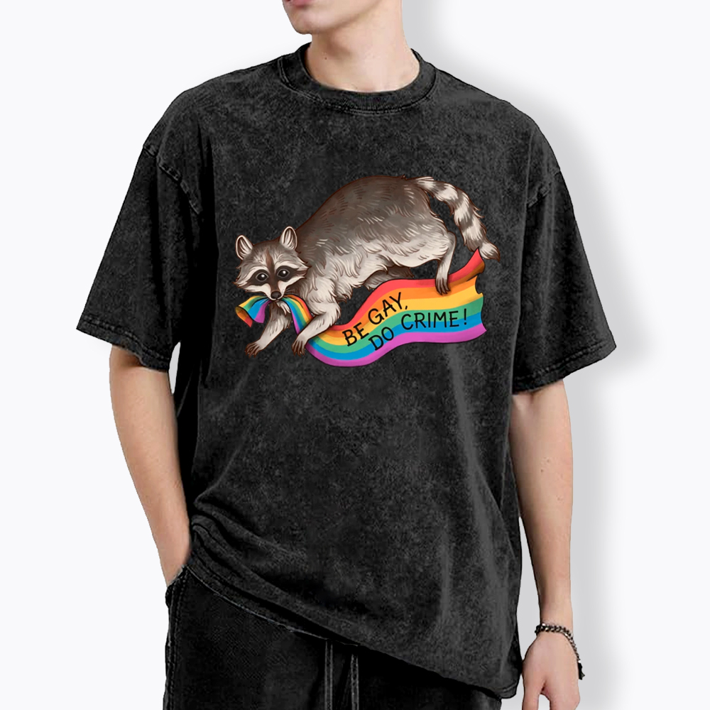 Be Gay Do Crime Raccoon Washed T-Shirt