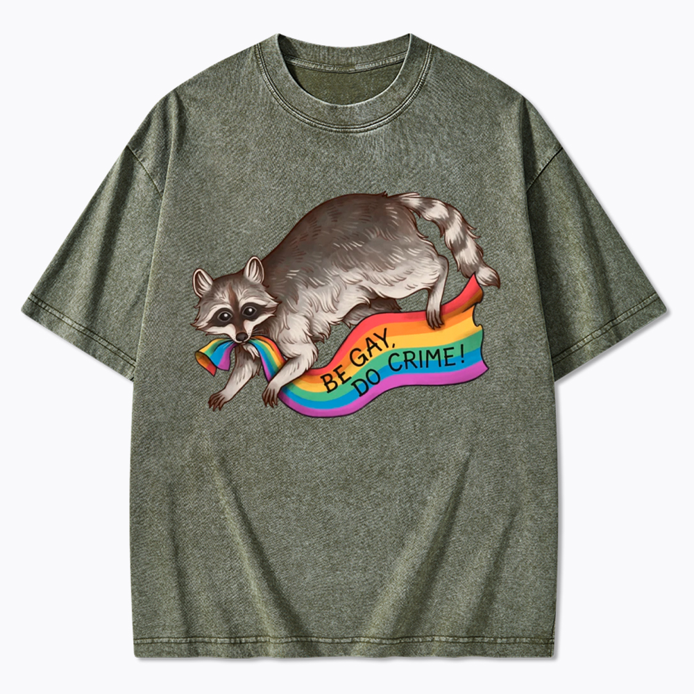 Be Gay Do Crime Raccoon Washed T-Shirt