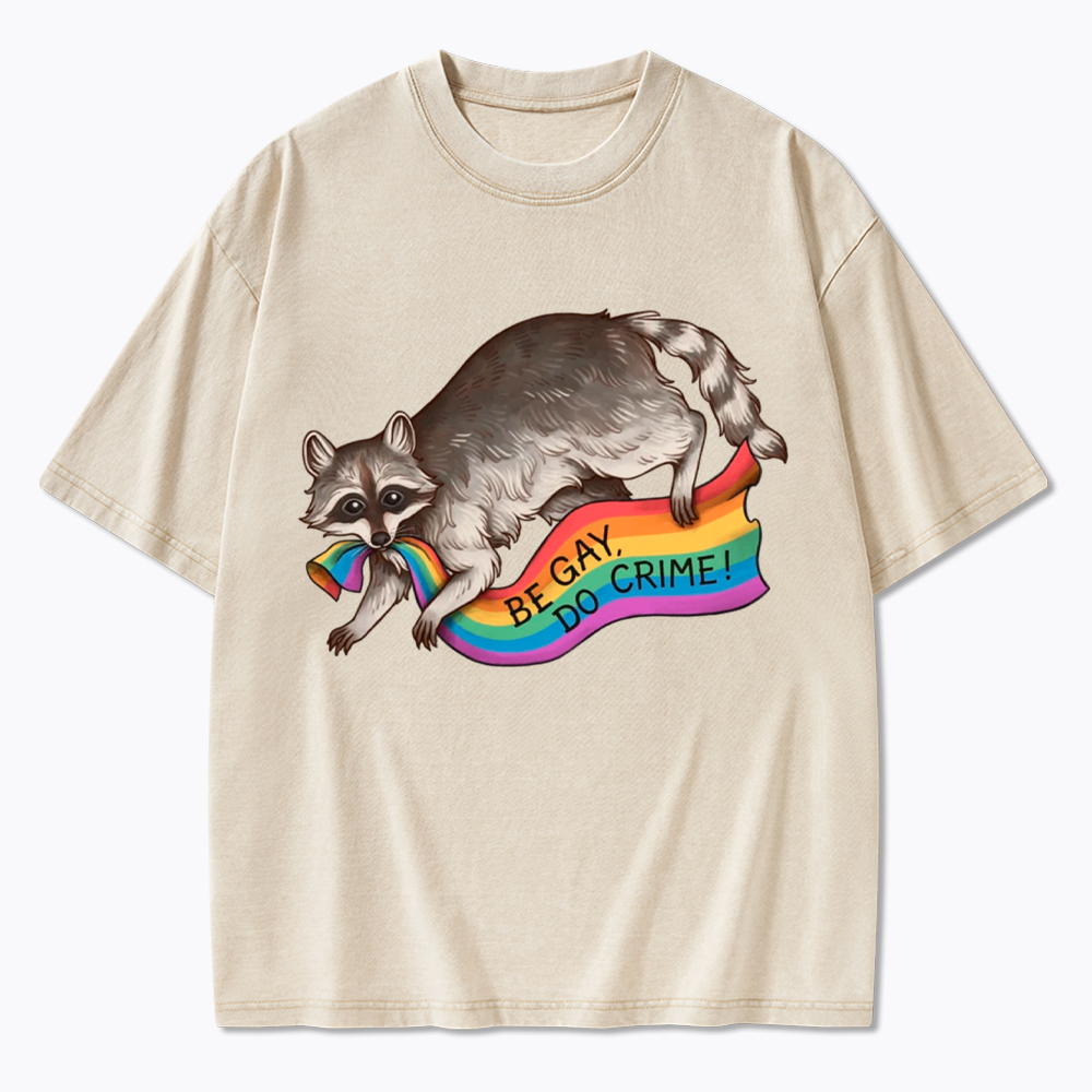 Be Gay Do Crime Raccoon Washed T-Shirt