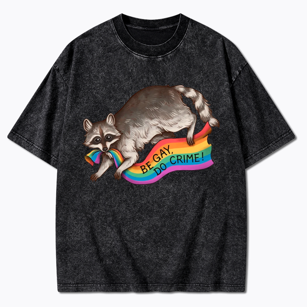 Be Gay Do Crime Raccoon Washed T-Shirt