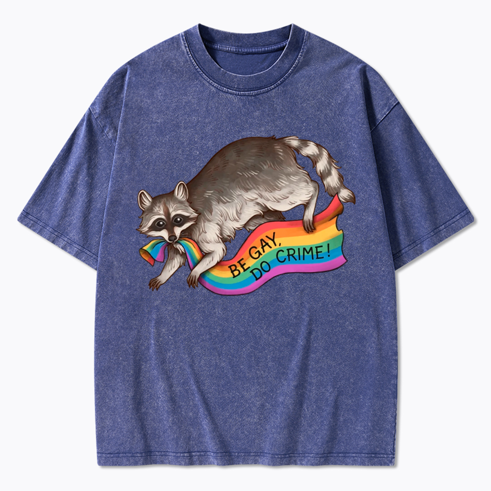 Be Gay Do Crime Raccoon Washed T-Shirt