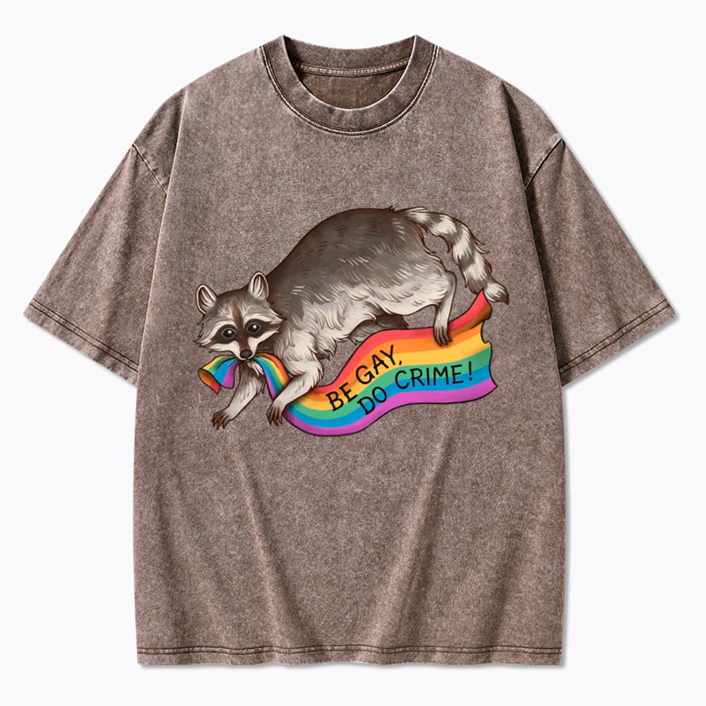 Be Gay Do Crime Raccoon Washed T-Shirt