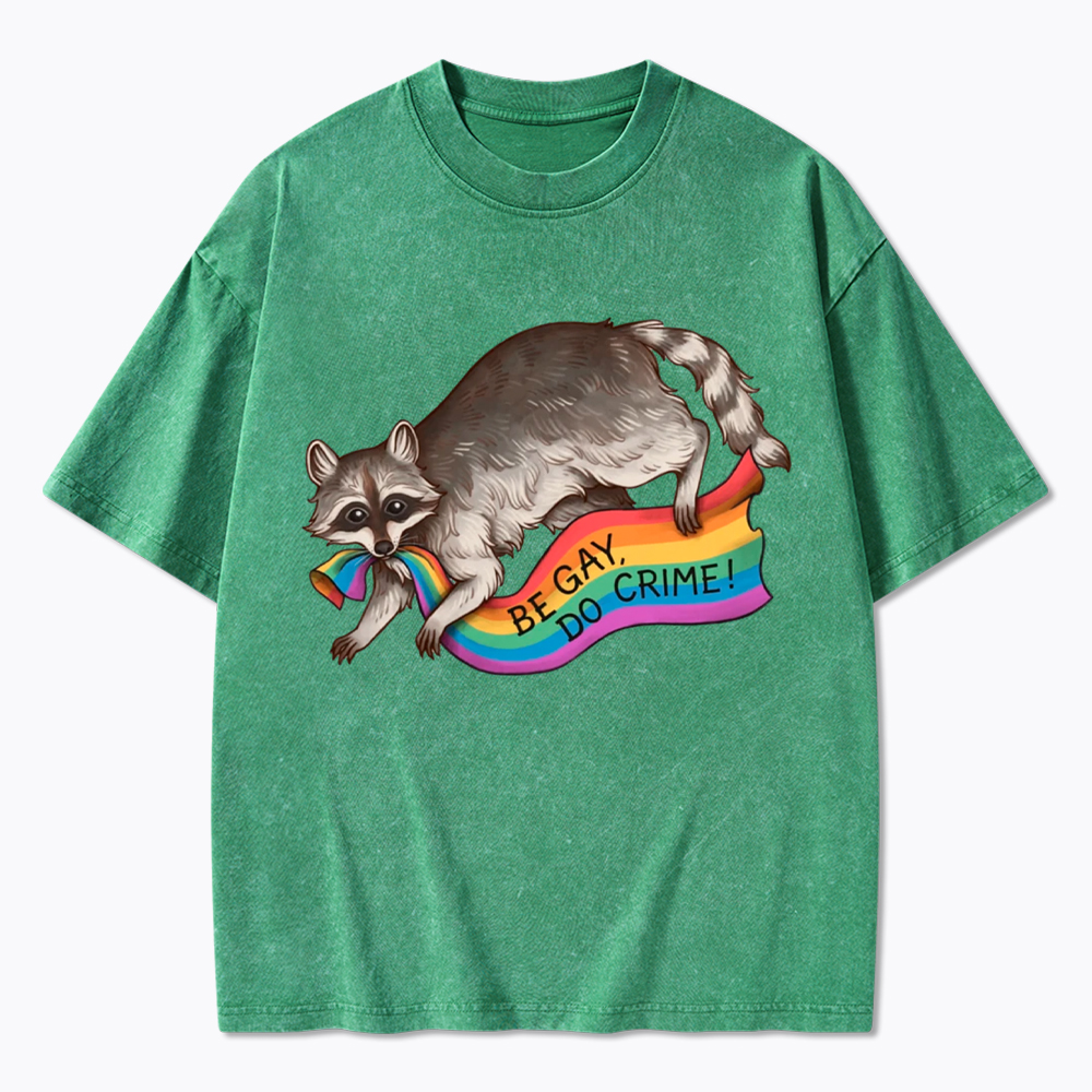 Be Gay Do Crime Raccoon Washed T-Shirt