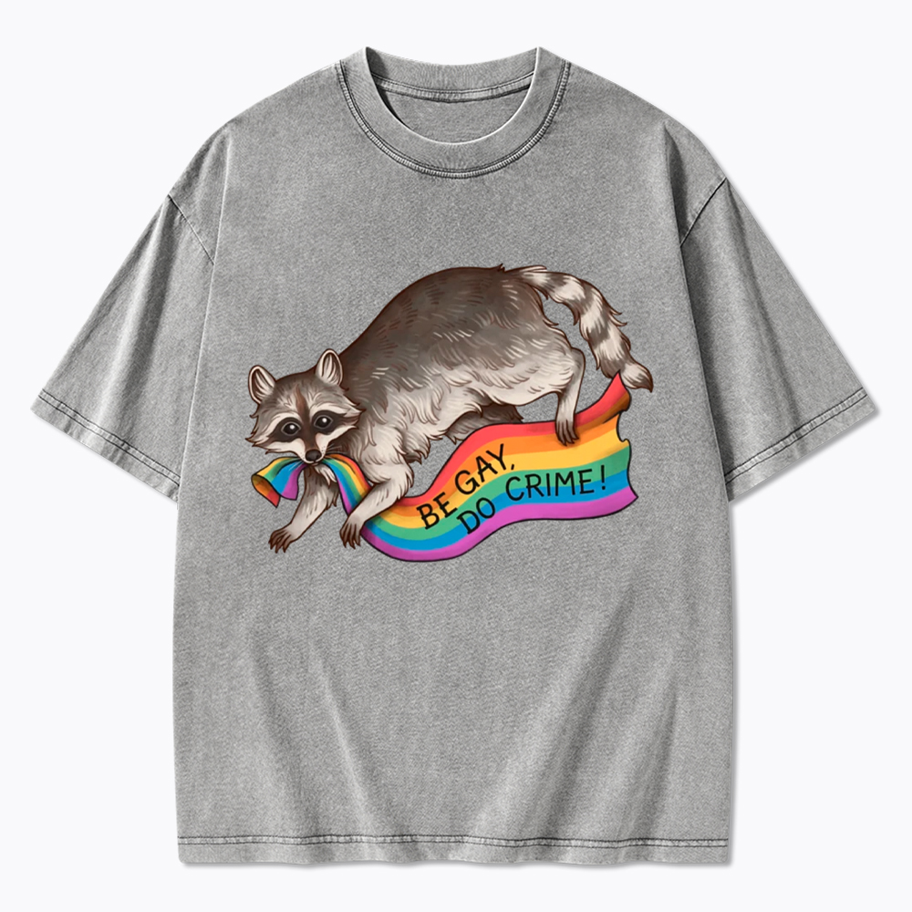 Be Gay Do Crime Raccoon Washed T-Shirt