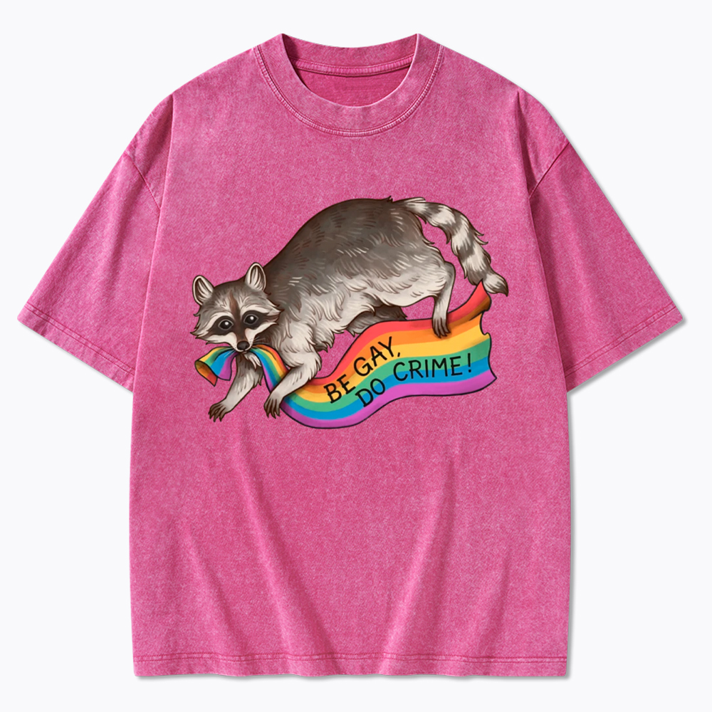 Be Gay Do Crime Raccoon Washed T-Shirt
