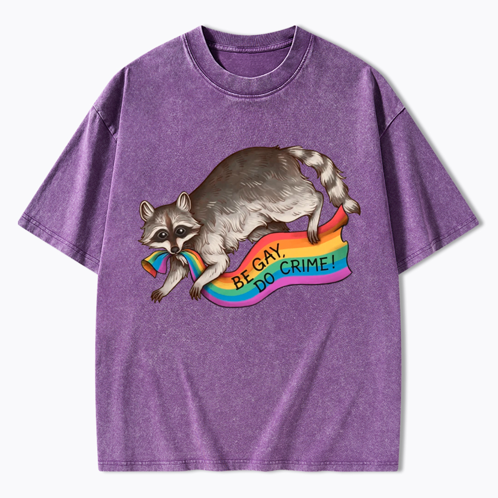 Be Gay Do Crime Raccoon Washed T-Shirt