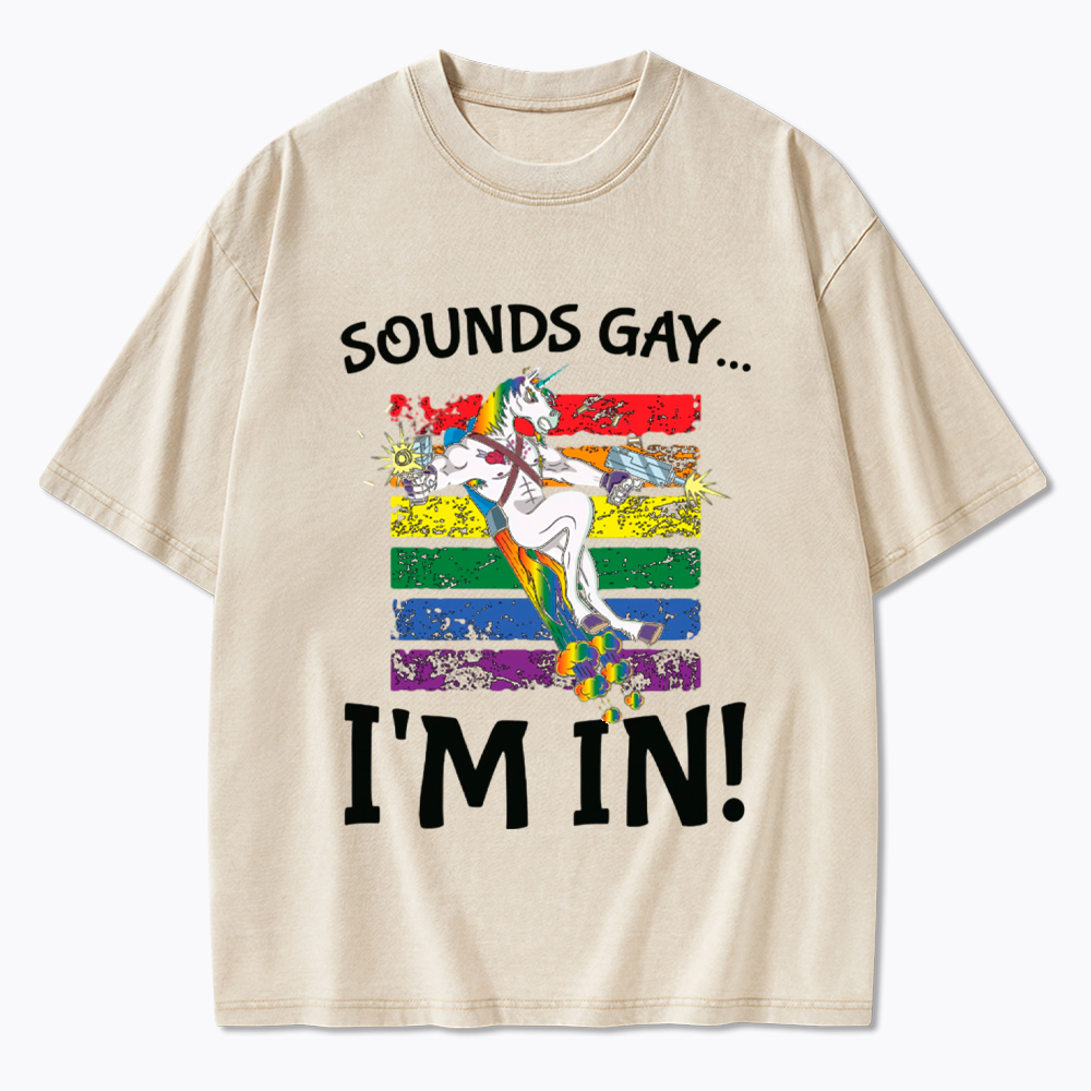 Sounds Gay I'm in Funny Rainbow Proudly Support Washed T-Shirt