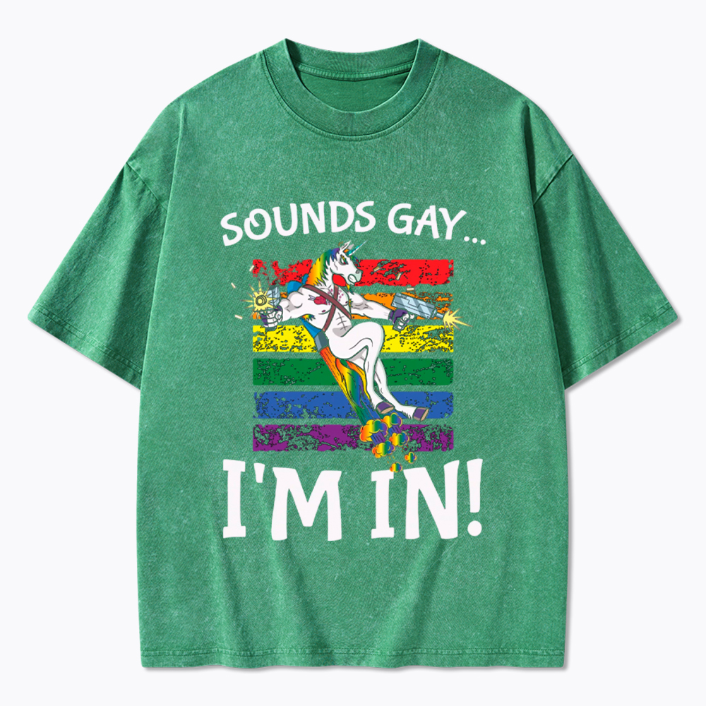 Sounds Gay I'm in Funny Rainbow Proudly Support Washed T-Shirt