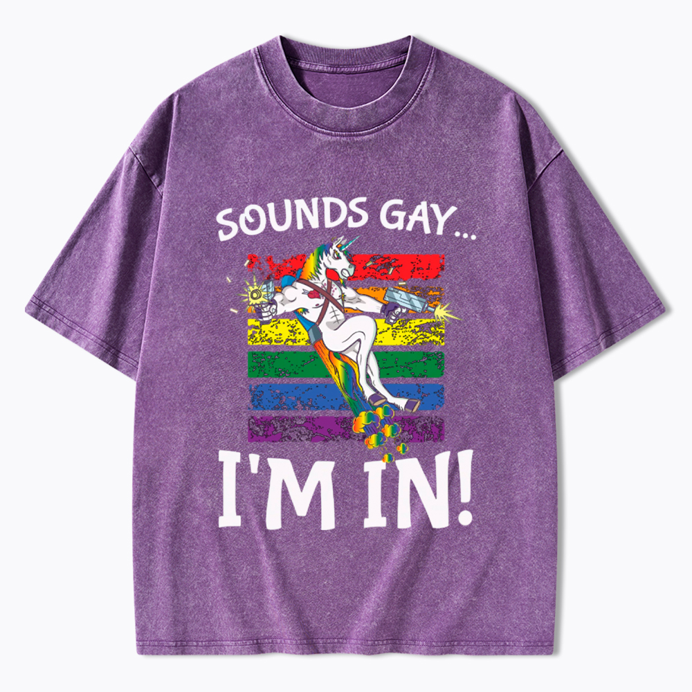 Sounds Gay I'm in Funny Rainbow Proudly Support Washed T-Shirt