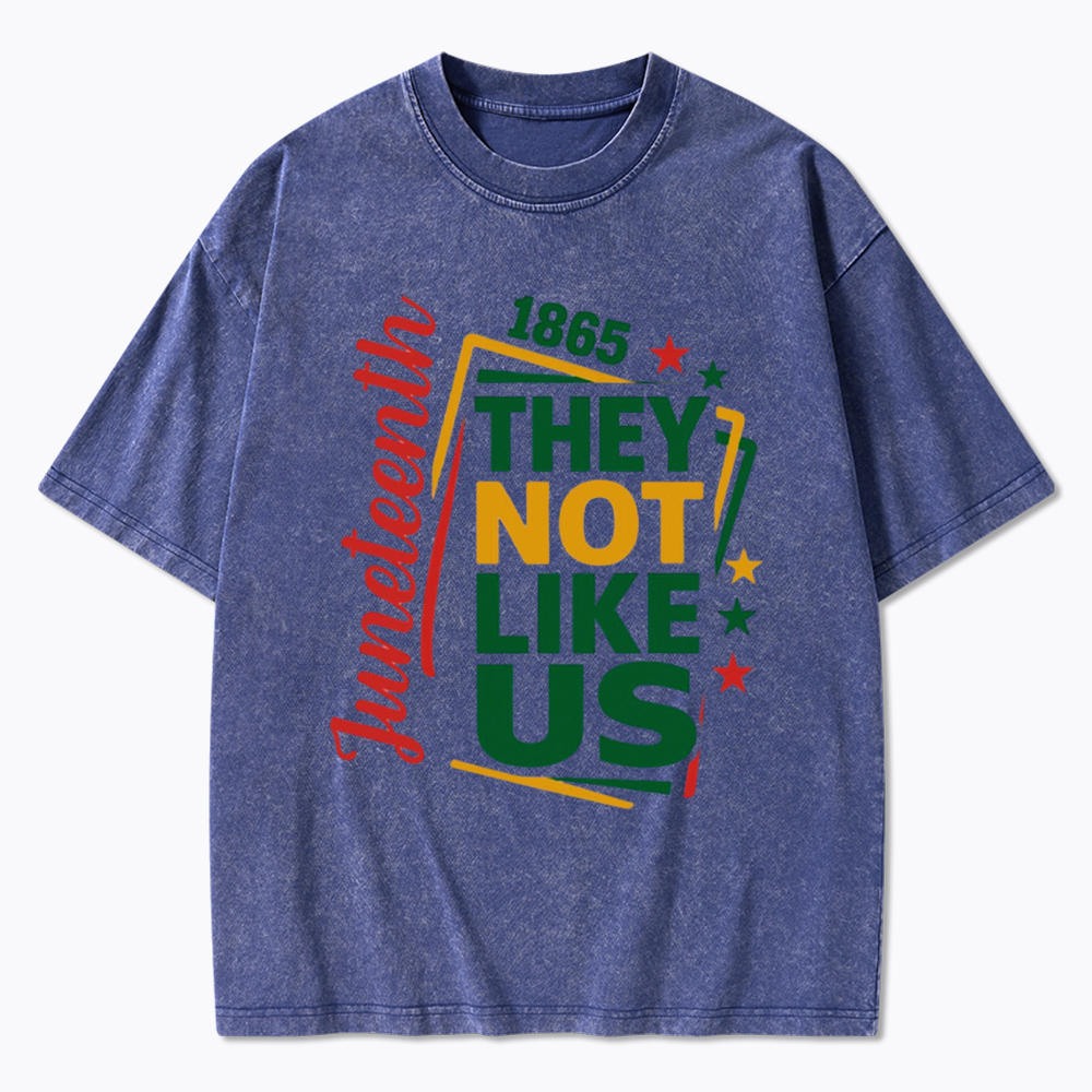 Juneteenth They Not Like Us Washed T-Shirt