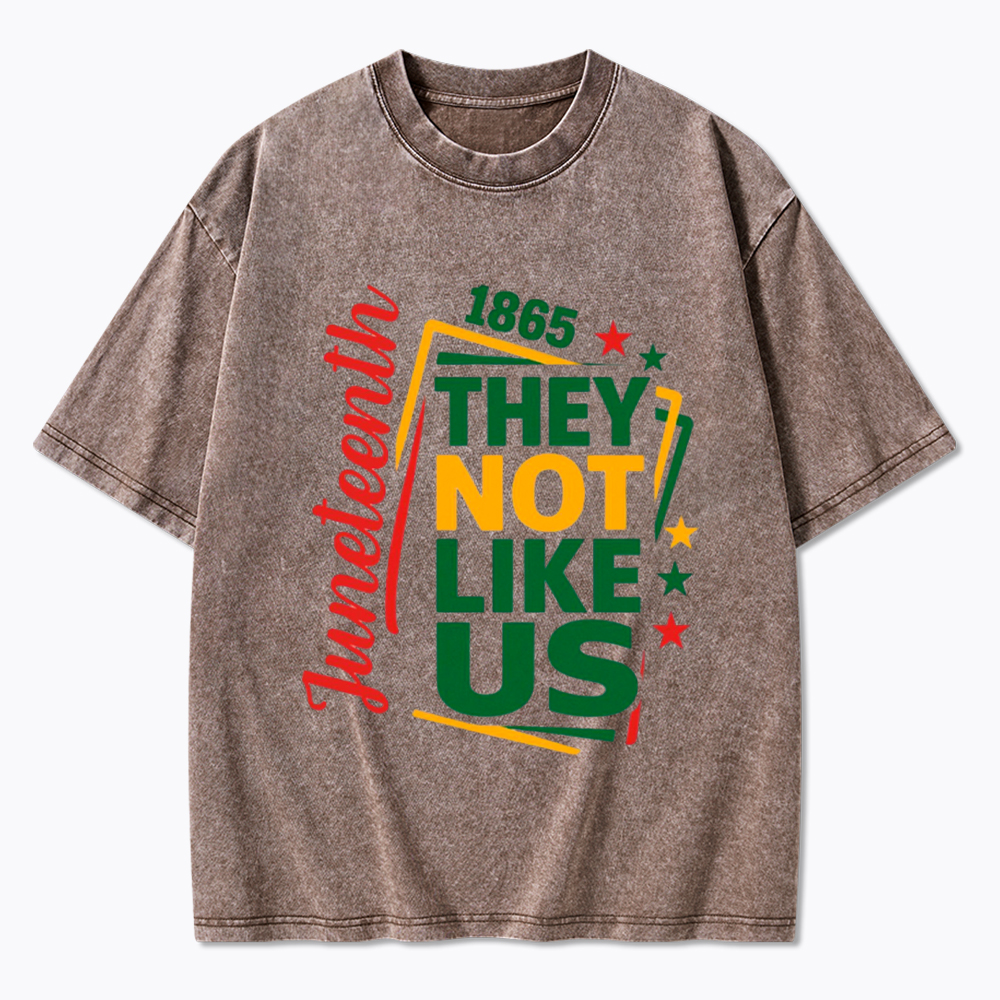 Juneteenth They Not Like Us Washed T-Shirt