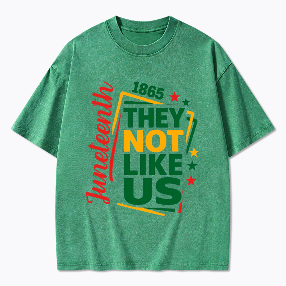 Juneteenth They Not Like Us Washed T-Shirt