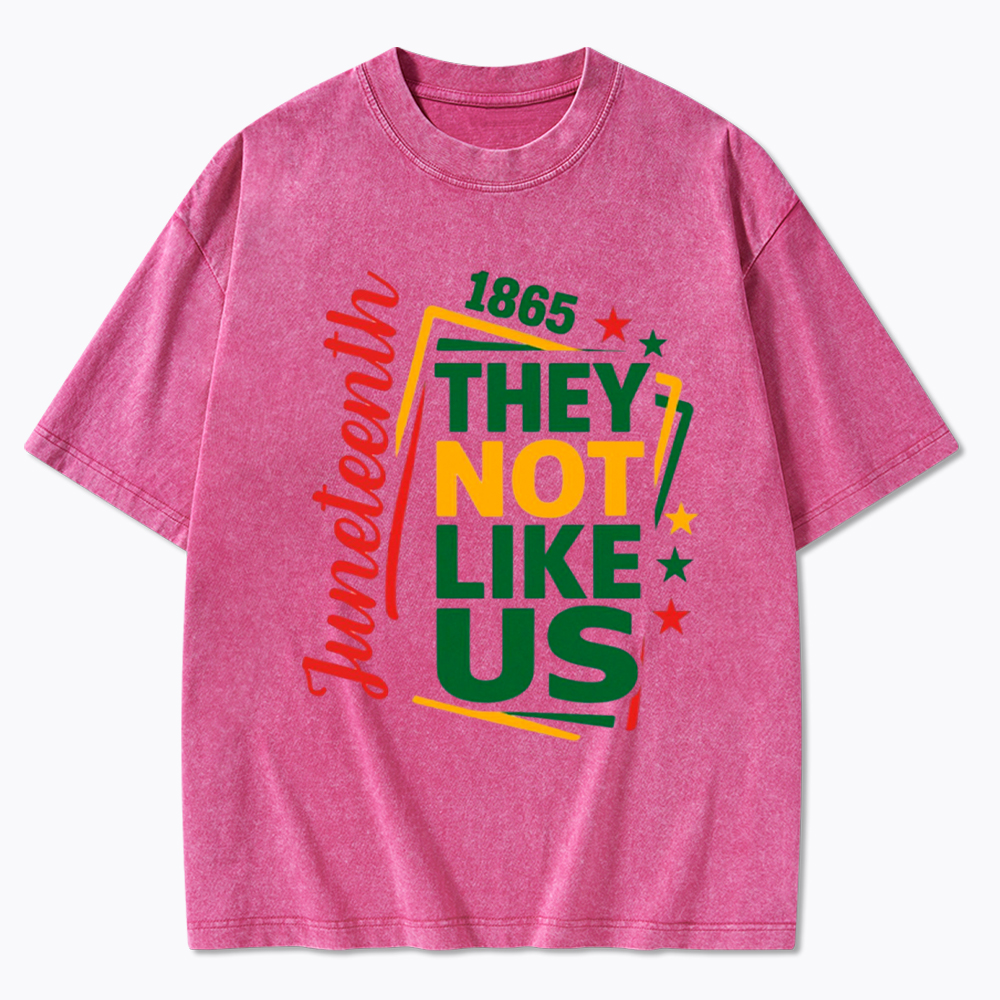 Juneteenth They Not Like Us Washed T-Shirt