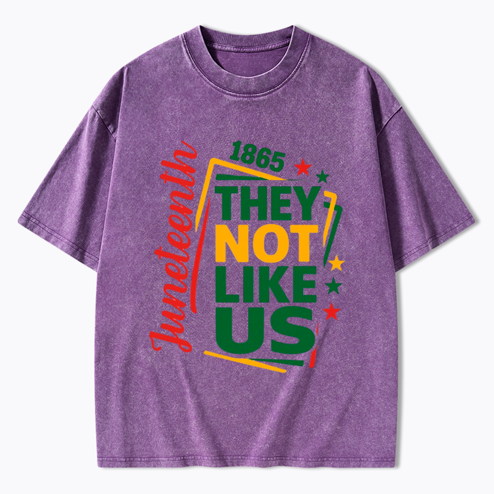 Juneteenth They Not Like Us Washed T-Shirt