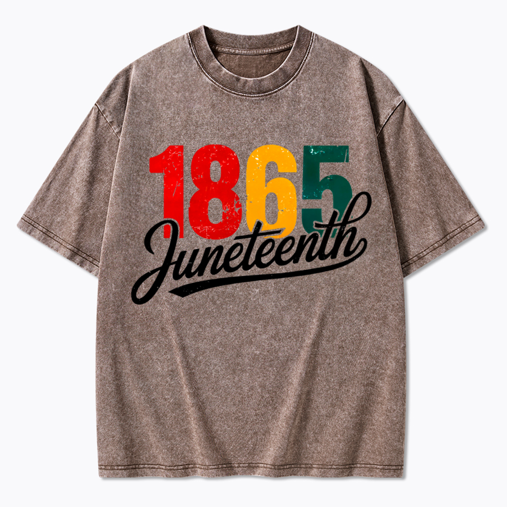 Juneteenth 1865 Black History Washed T-Shirt
