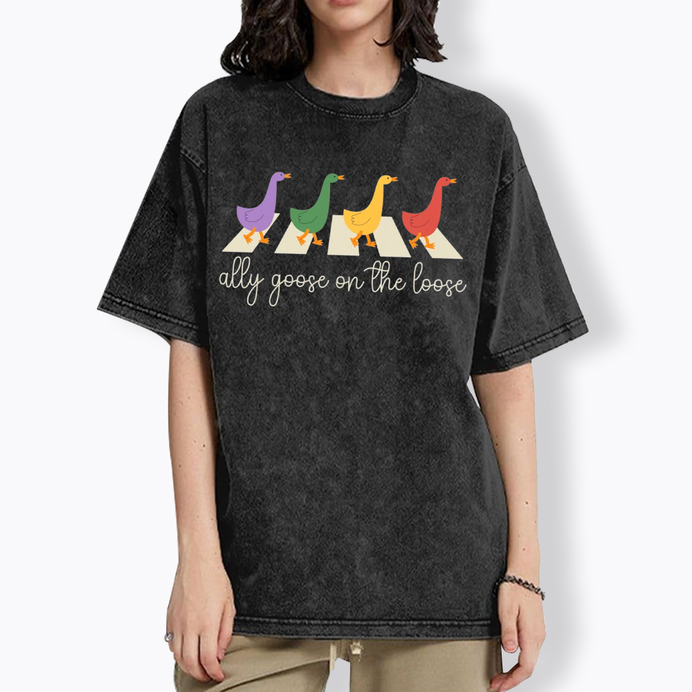 Abbey Road Goose LGBTQ Pride Washed T-Shirt