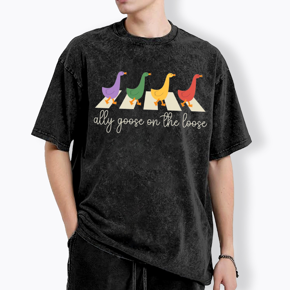 Abbey Road Goose LGBTQ Pride Washed T-Shirt