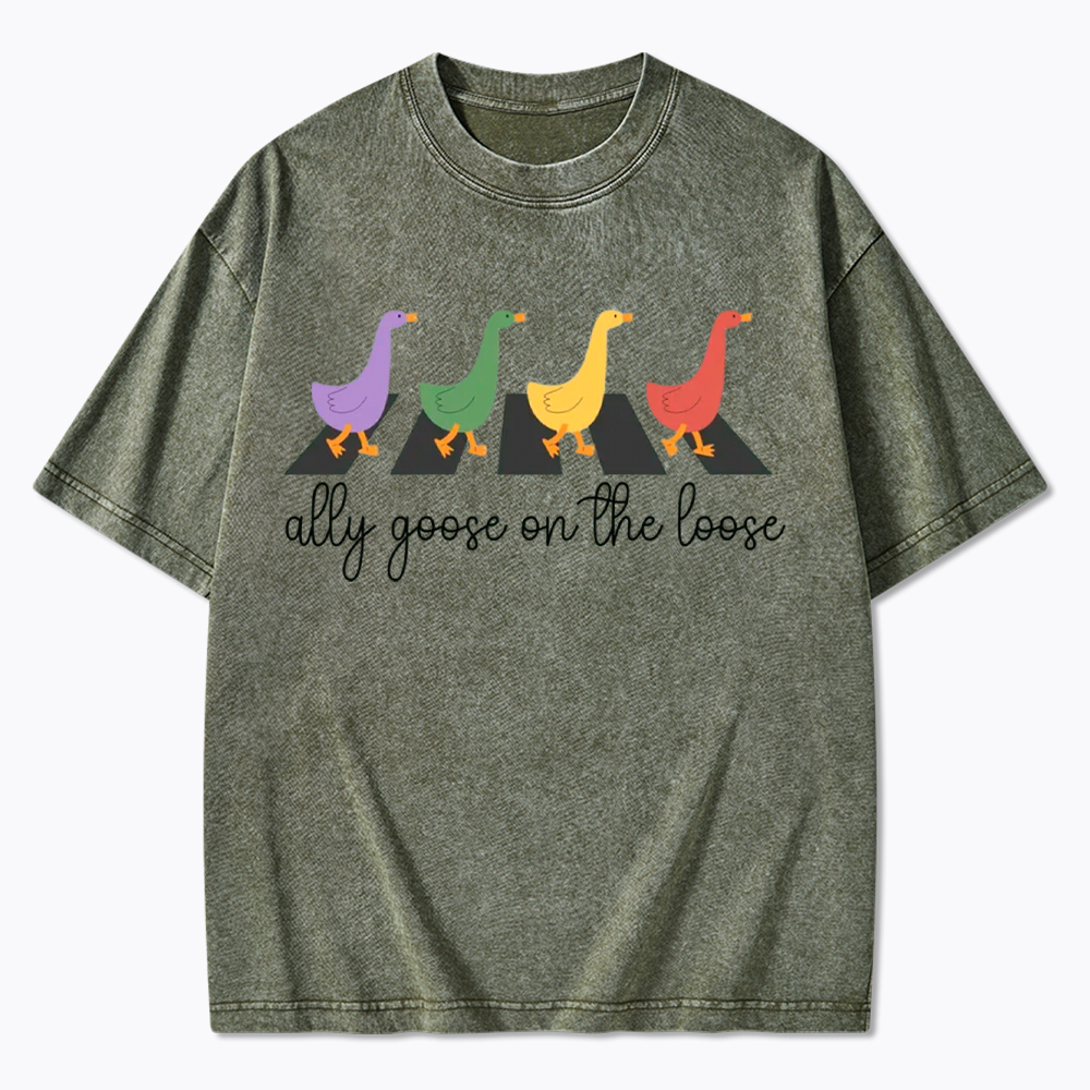 Abbey Road Goose LGBTQ Pride Washed T-Shirt
