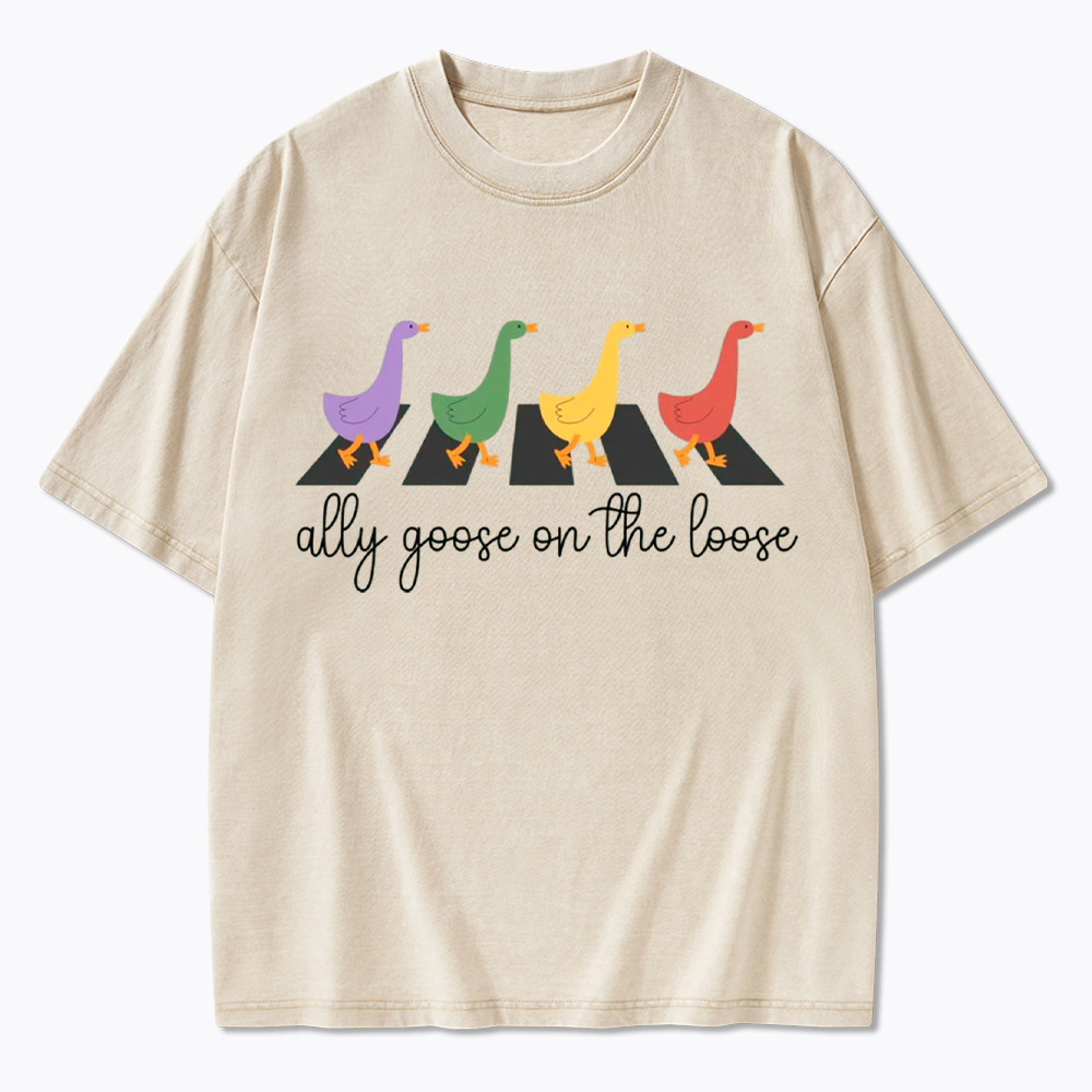 Abbey Road Goose LGBTQ Pride Washed T-Shirt