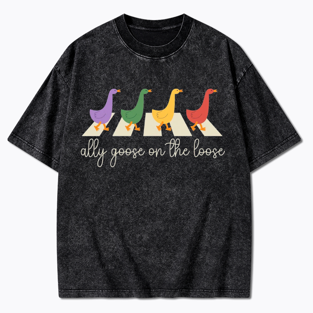 Abbey Road Goose LGBTQ Pride Washed T-Shirt