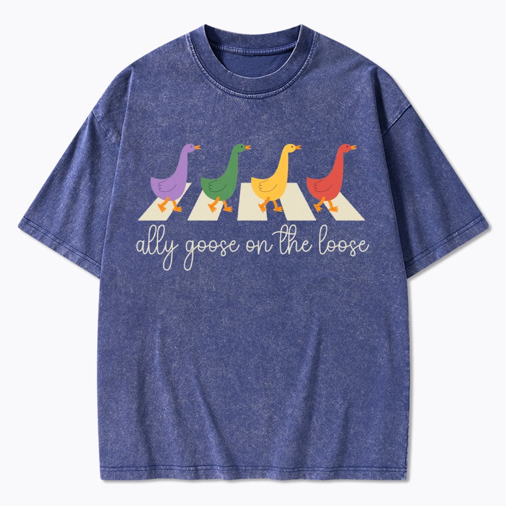 Abbey Road Goose LGBTQ Pride Washed T-Shirt