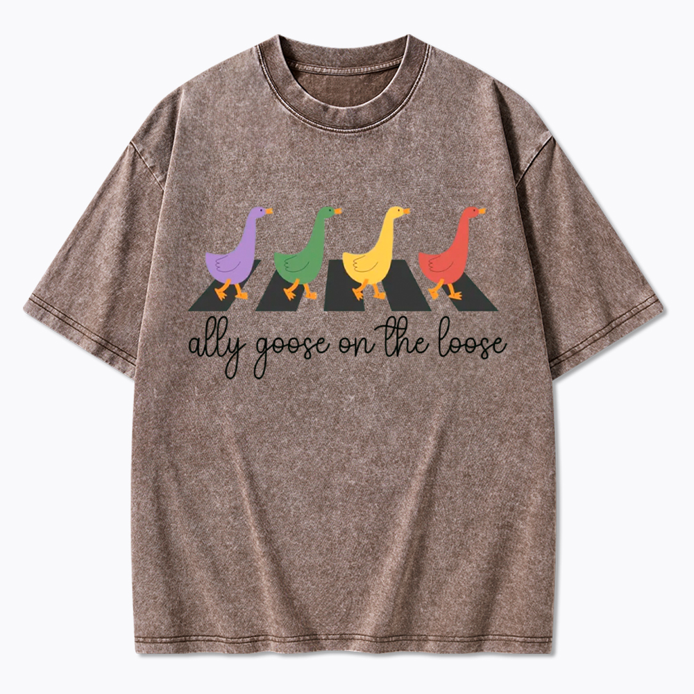 Abbey Road Goose LGBTQ Pride Washed T-Shirt