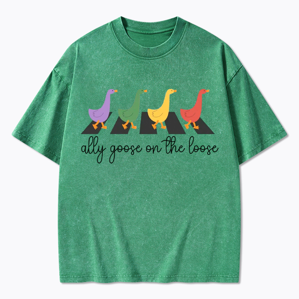 Abbey Road Goose LGBTQ Pride Washed T-Shirt