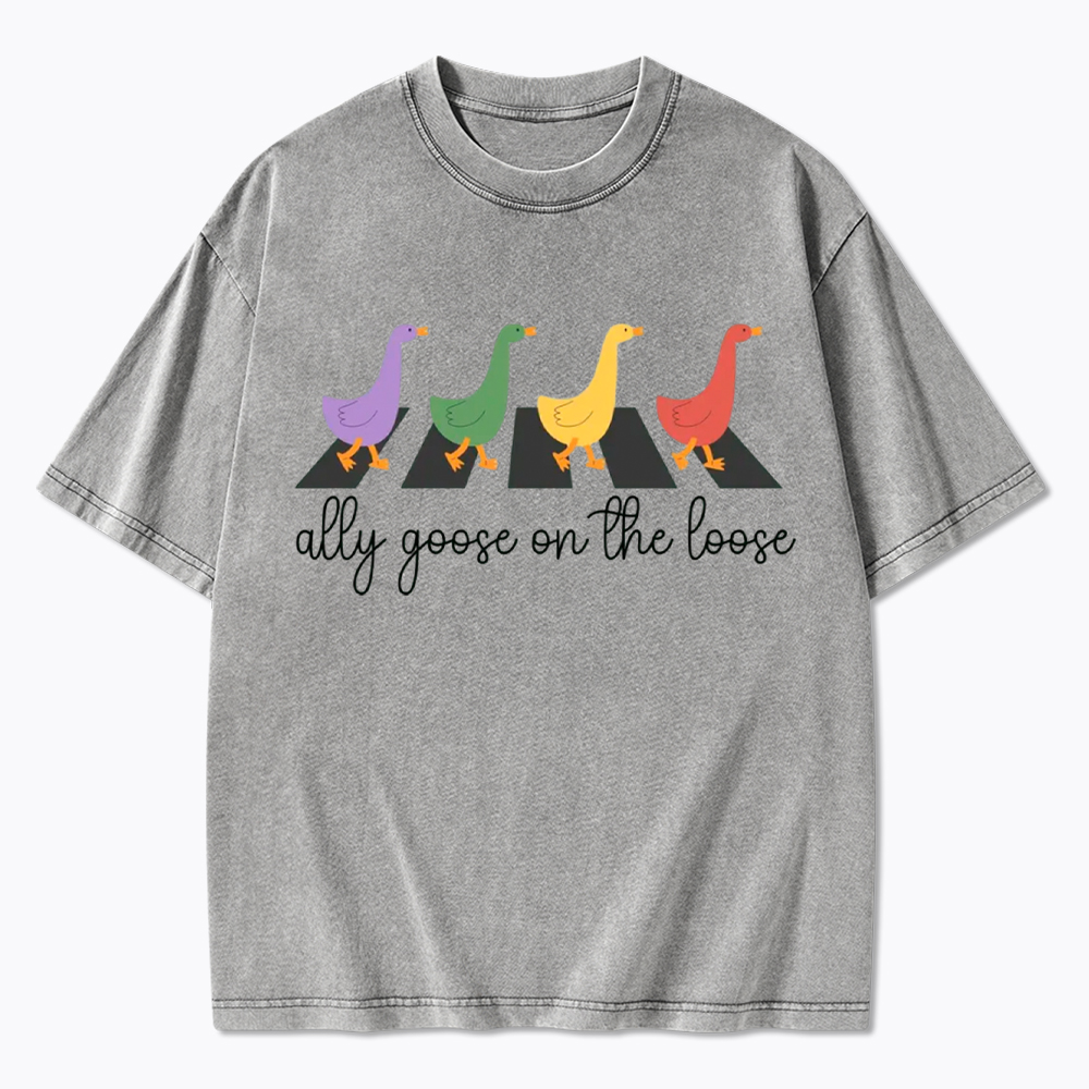 Abbey Road Goose LGBTQ Pride Washed T-Shirt