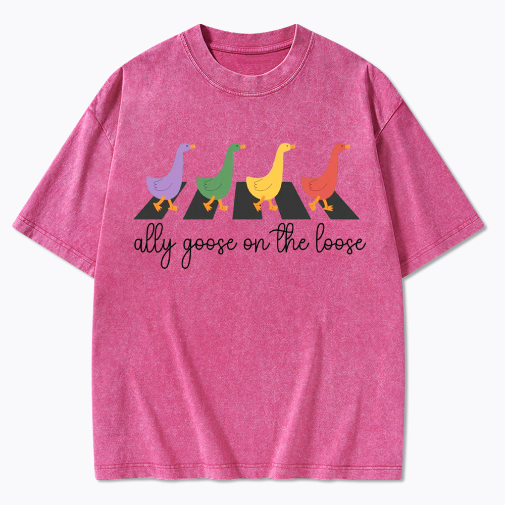 Abbey Road Goose LGBTQ Pride Washed T-Shirt
