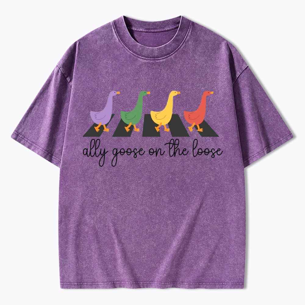 Abbey Road Goose LGBTQ Pride Washed T-Shirt
