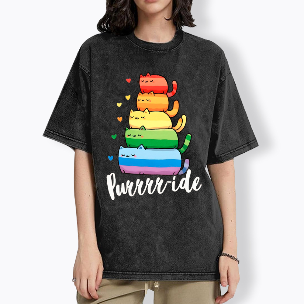 Purrride Cats LGBTQ Pride Washed T-Shirt