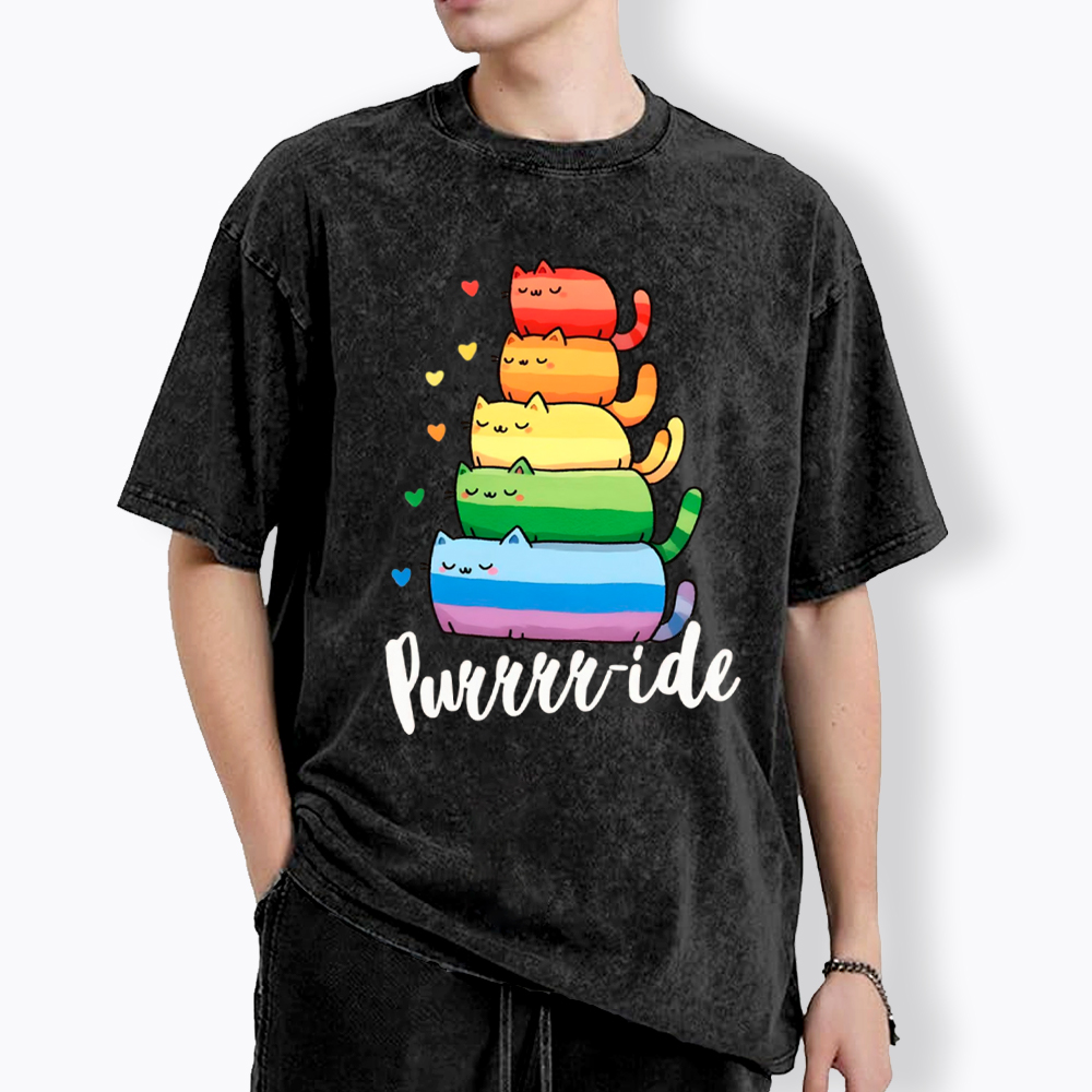 Purrride Cats LGBTQ Pride Washed T-Shirt