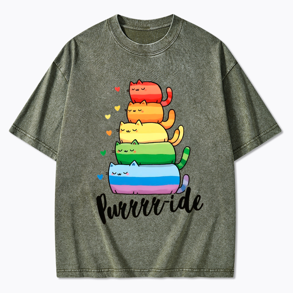 Purrride Cats LGBTQ Pride Washed T-Shirt
