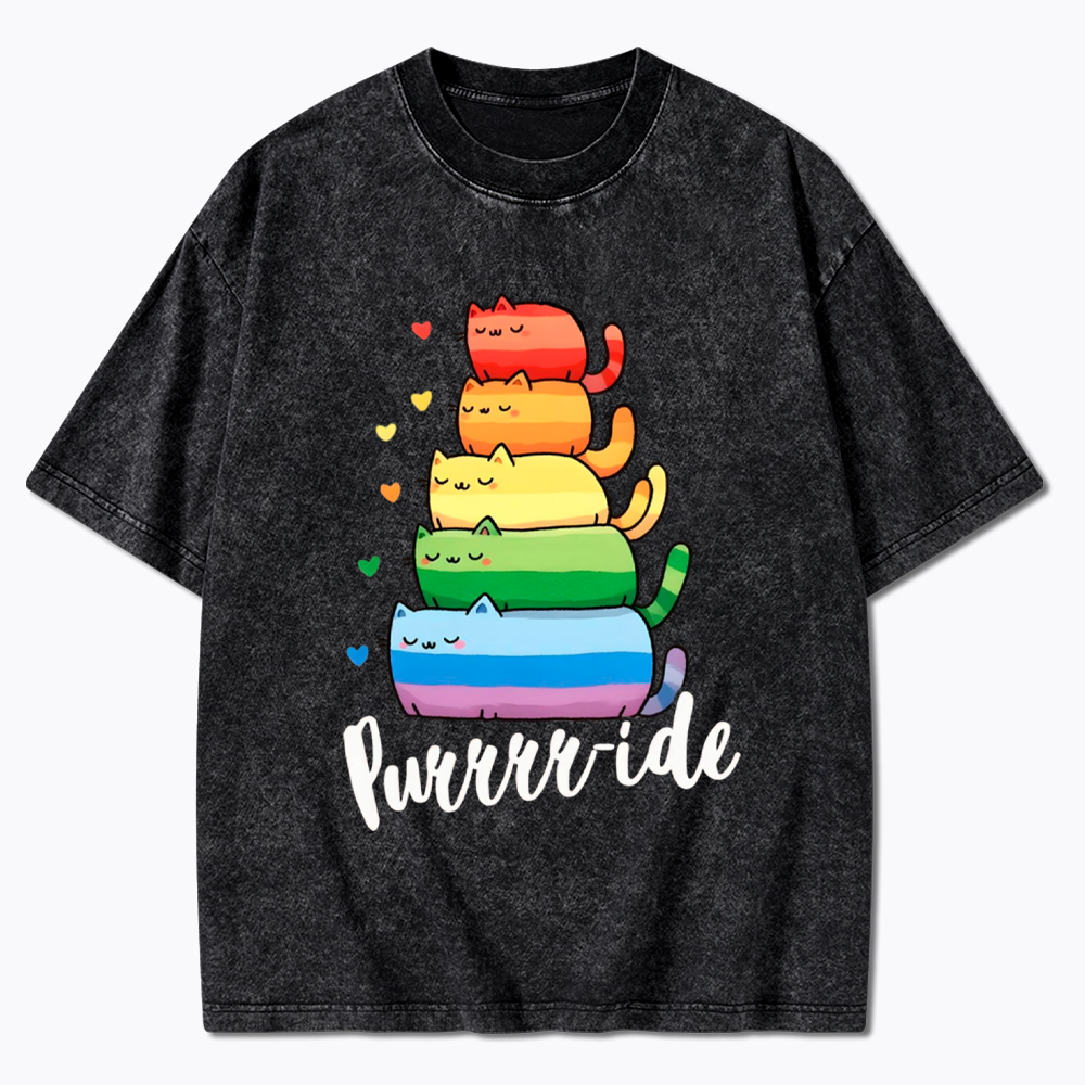Purrride Cats LGBTQ Pride Washed T-Shirt