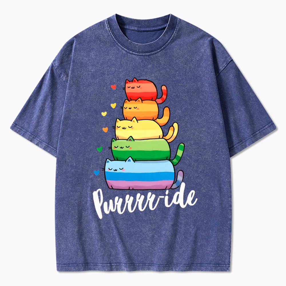 Purrride Cats LGBTQ Pride Washed T-Shirt