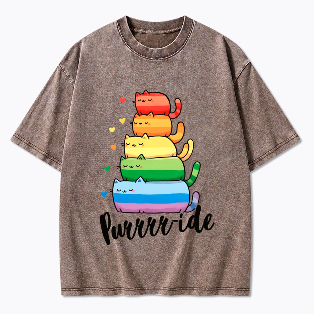 Purrride Cats LGBTQ Pride Washed T-Shirt