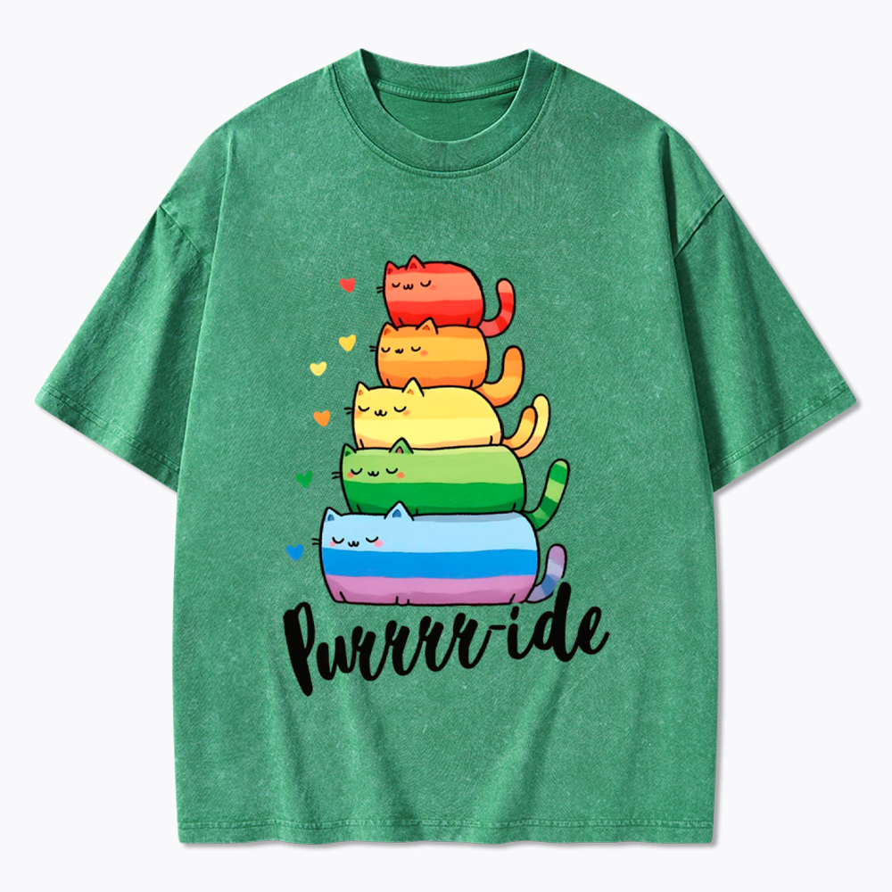 Purrride Cats LGBTQ Pride Washed T-Shirt