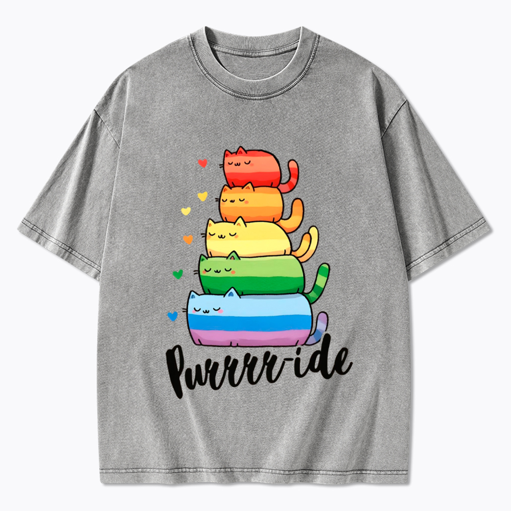 Purrride Cats LGBTQ Pride Washed T-Shirt