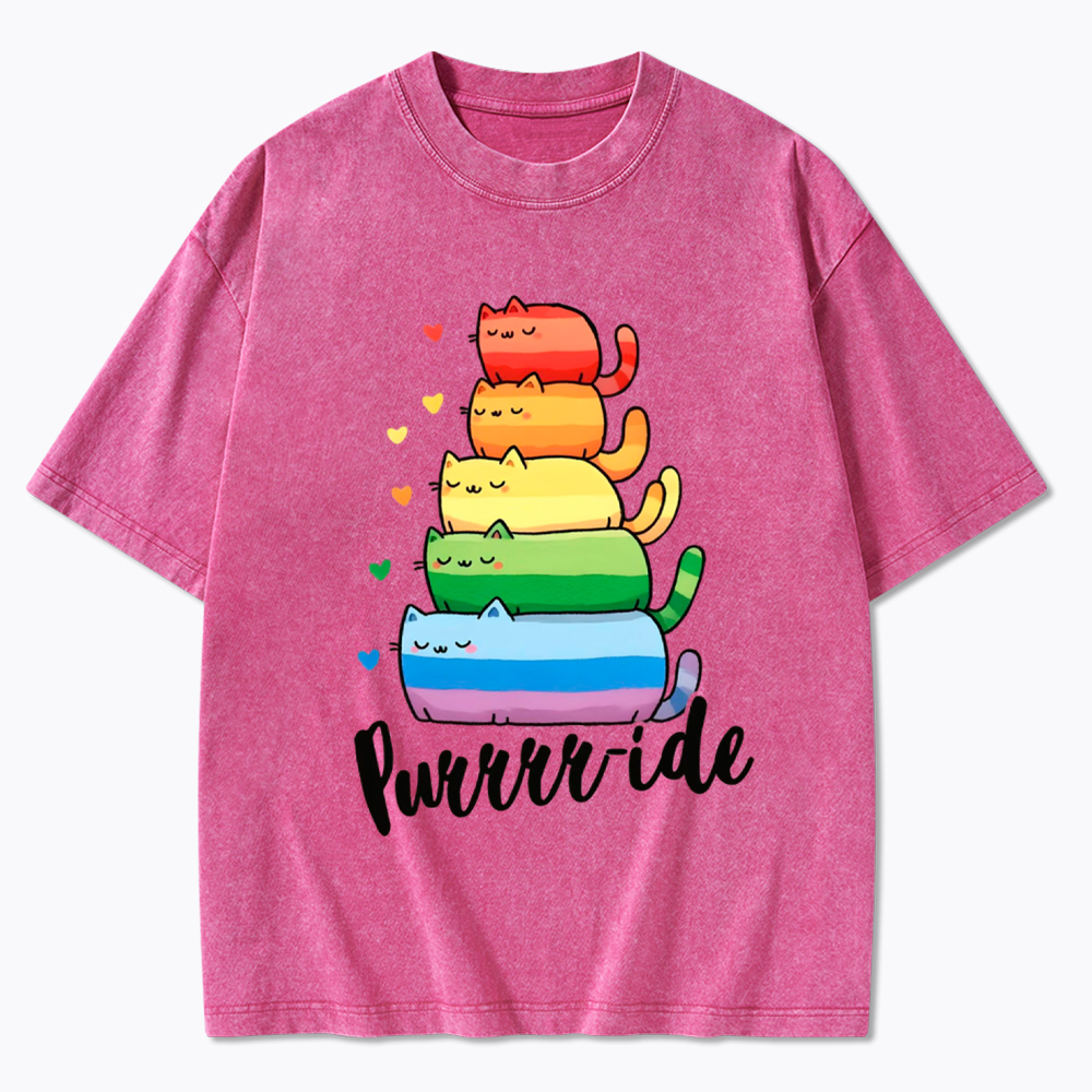 Purrride Cats LGBTQ Pride Washed T-Shirt