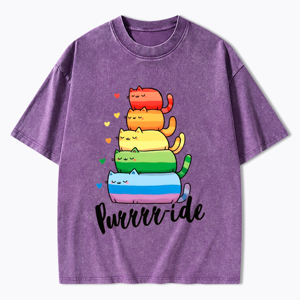 Purrride Cats LGBTQ Pride Washed T-Shirt
