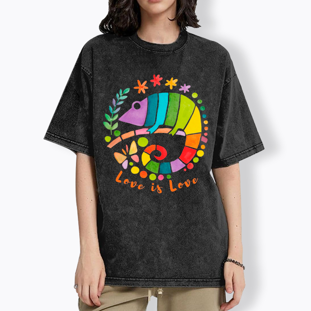 Love Is Love Love Is Universal Washed T-Shirt