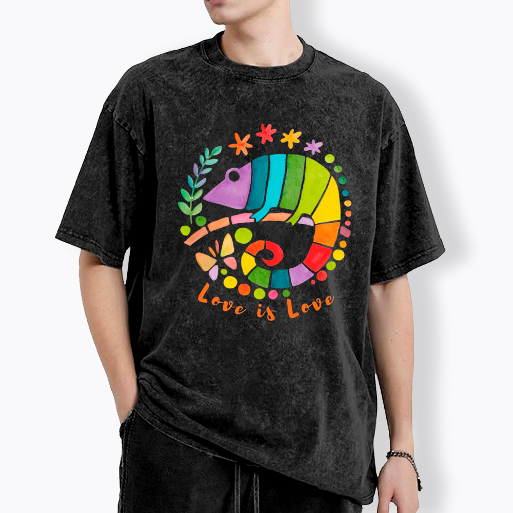 Love Is Love Love Is Universal Washed T-Shirt