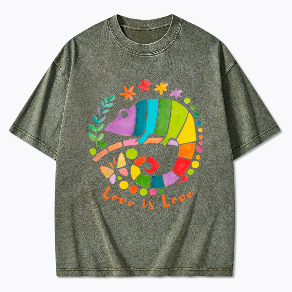 Love Is Love Love Is Universal Washed T-Shirt