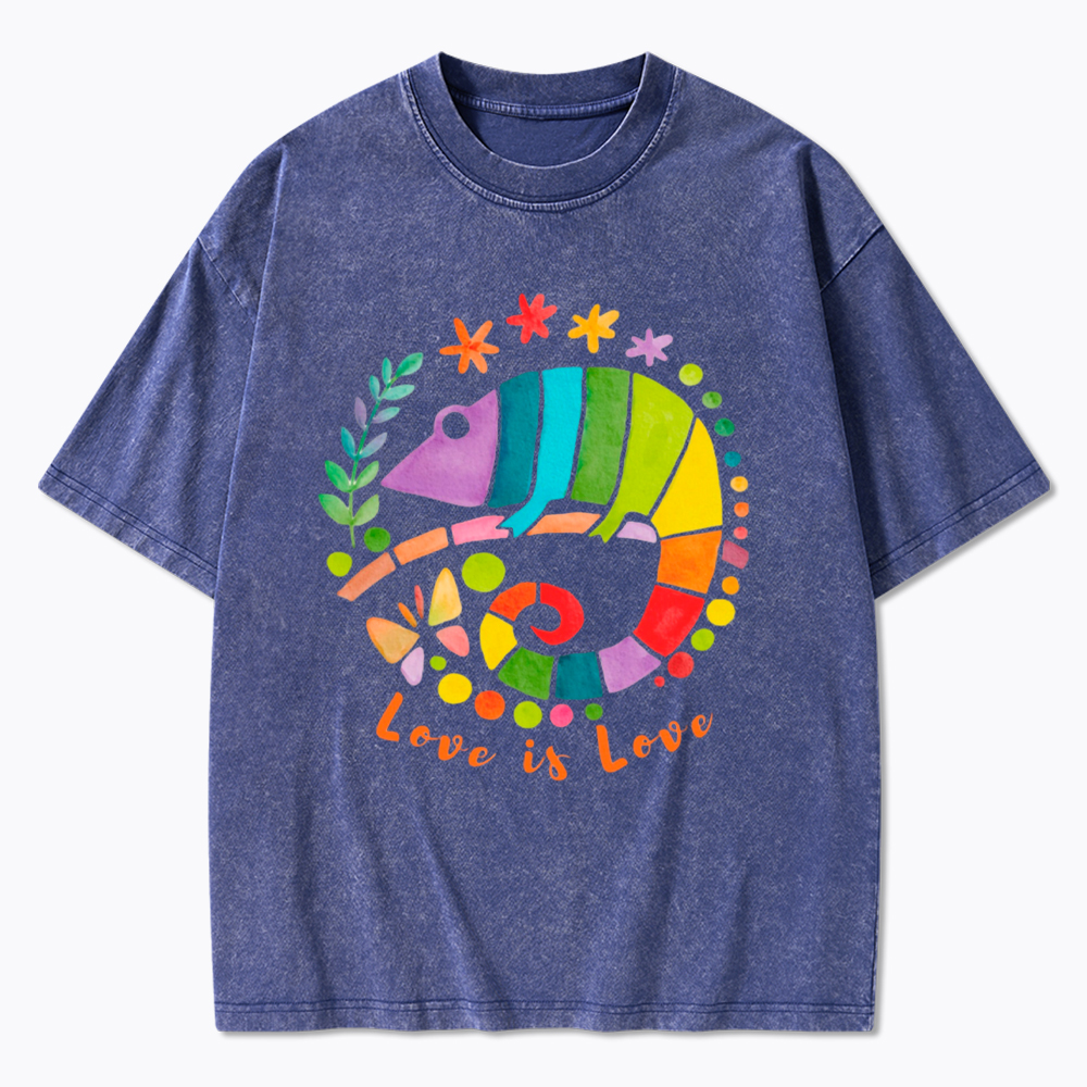 Love Is Love Love Is Universal Washed T-Shirt