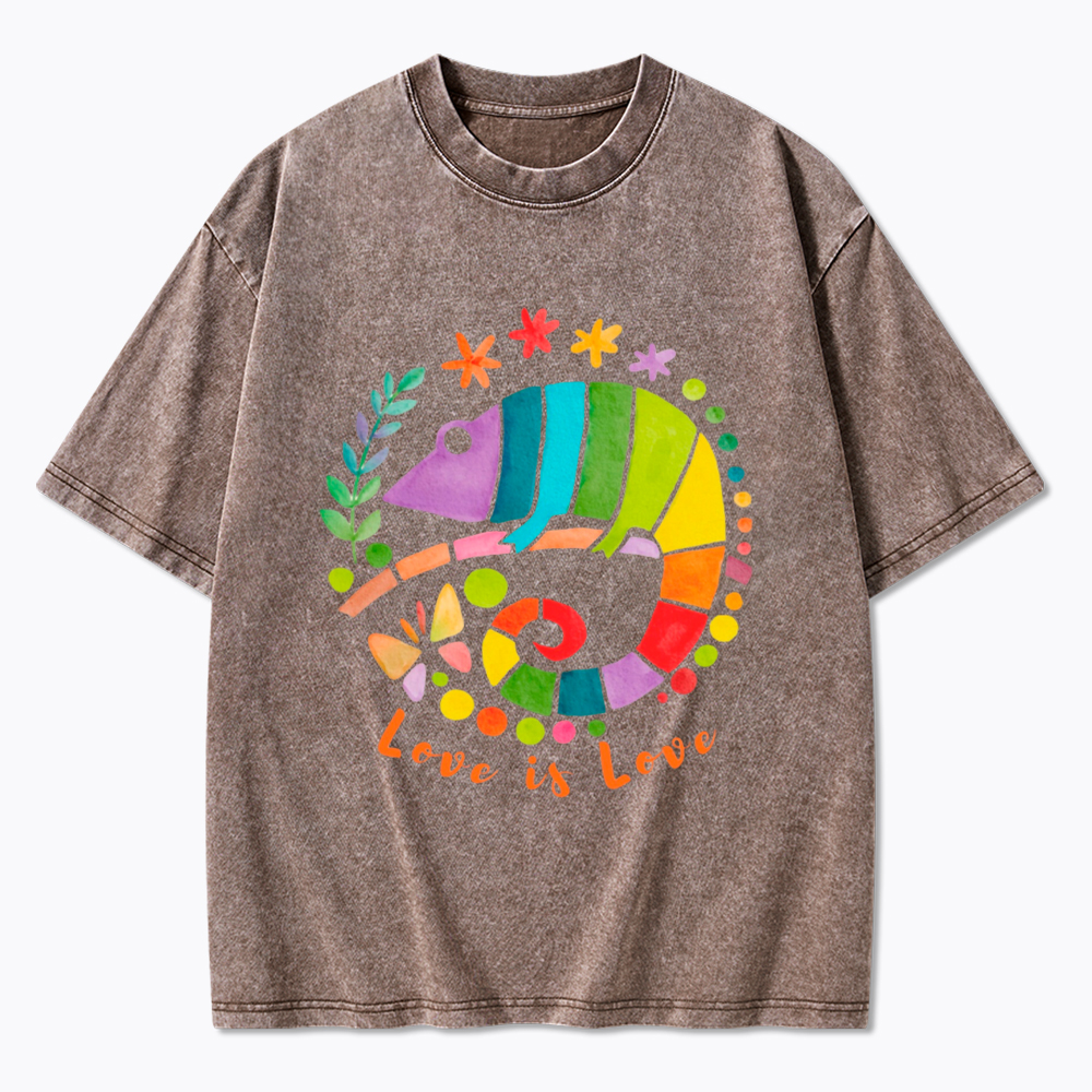 Love Is Love Love Is Universal Washed T-Shirt