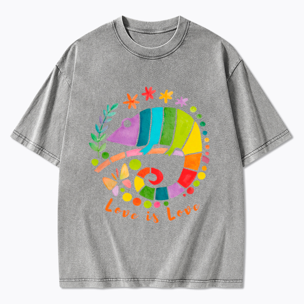 Love Is Love Love Is Universal Washed T-Shirt