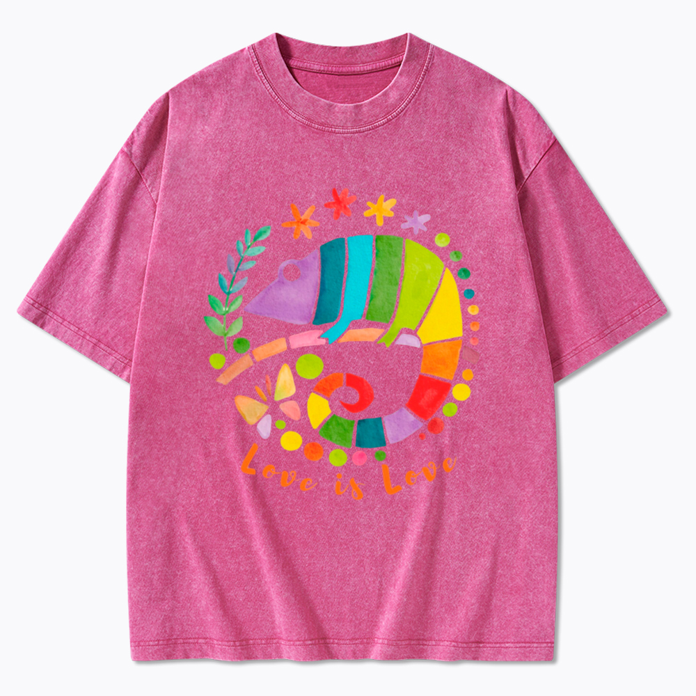 Love Is Love Love Is Universal Washed T-Shirt